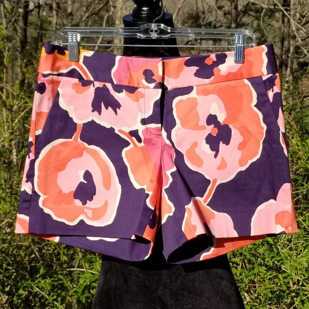 The Limited Shorts